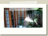 foto_26